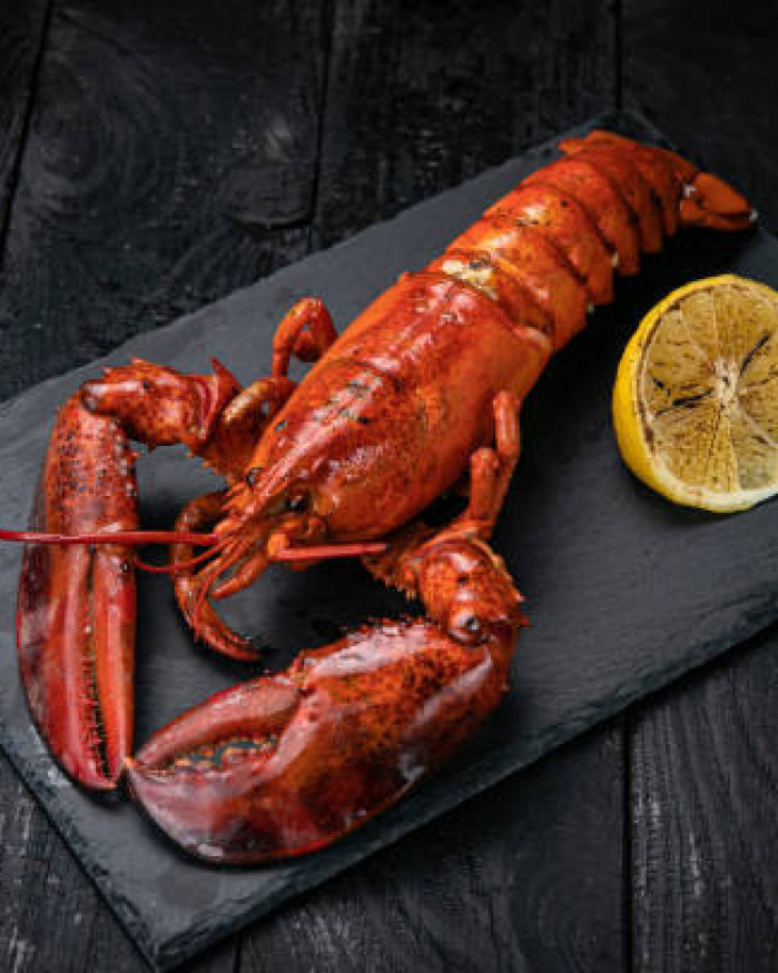 Homard Européen cuit environ 900gr
