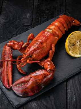 Homard Européen cuit environ 900gr